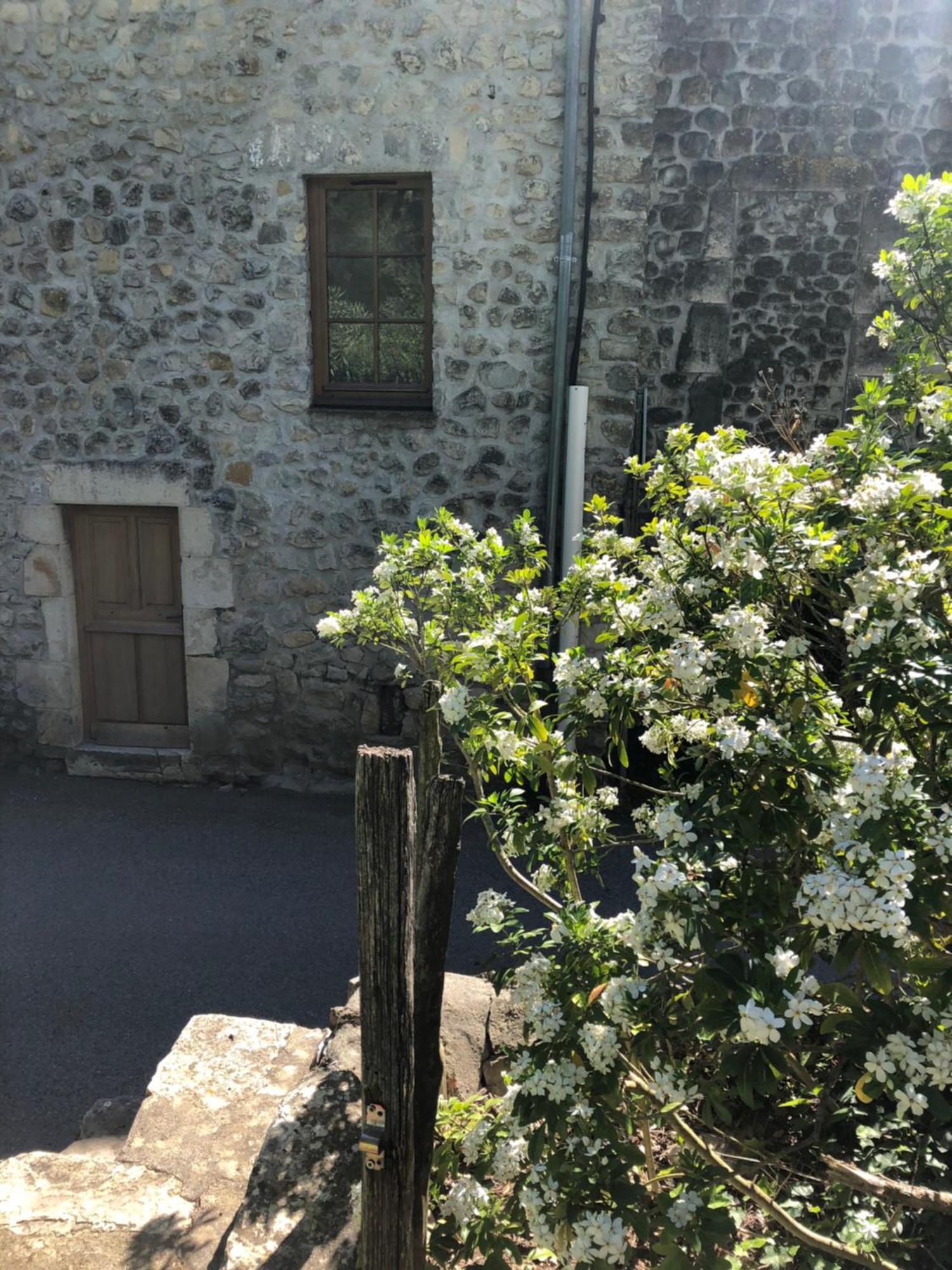 Gite Des Pins Saint-Maurice-d'Ibie Экстерьер фото