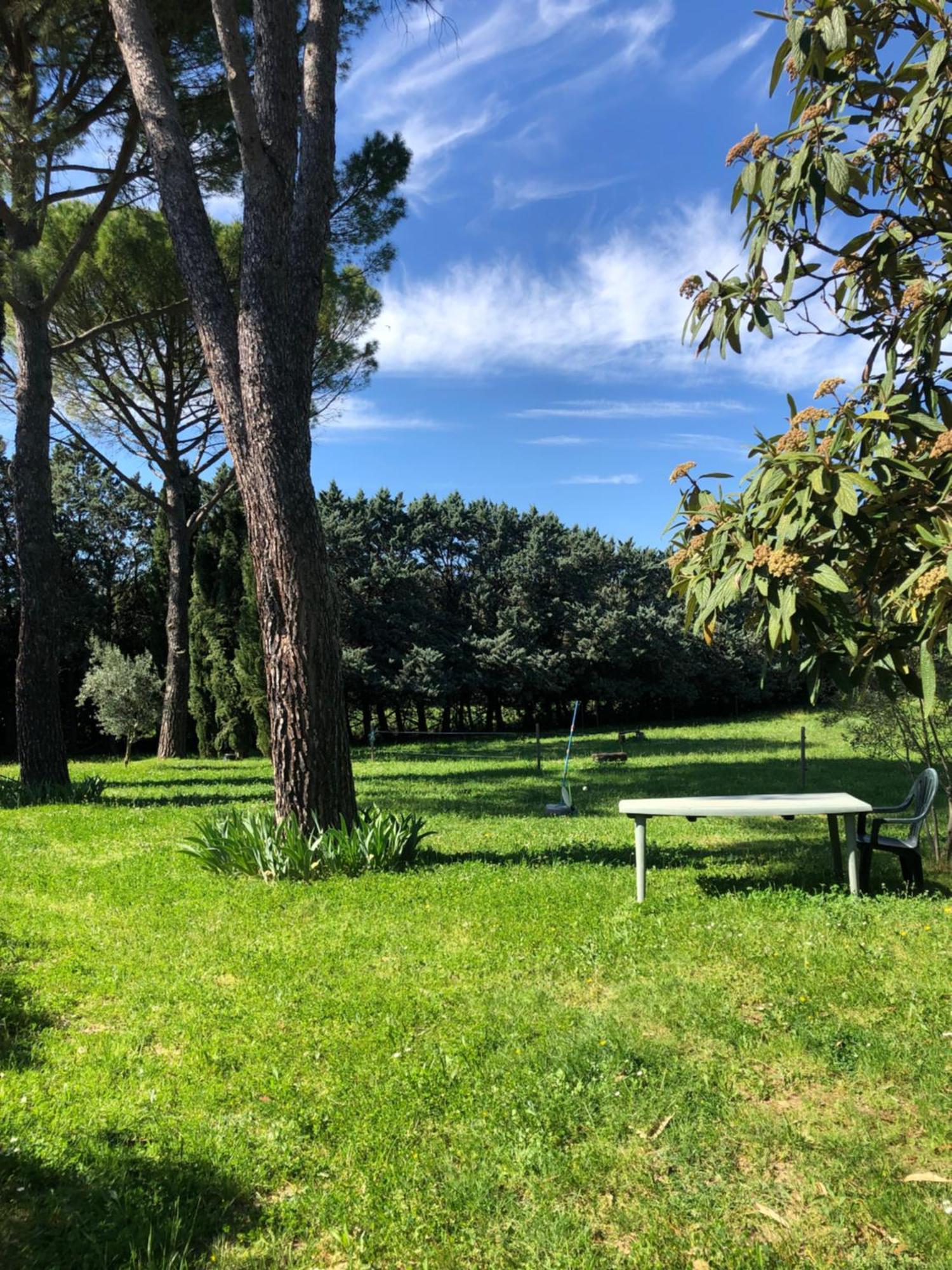 Gite Des Pins Saint-Maurice-d'Ibie Экстерьер фото