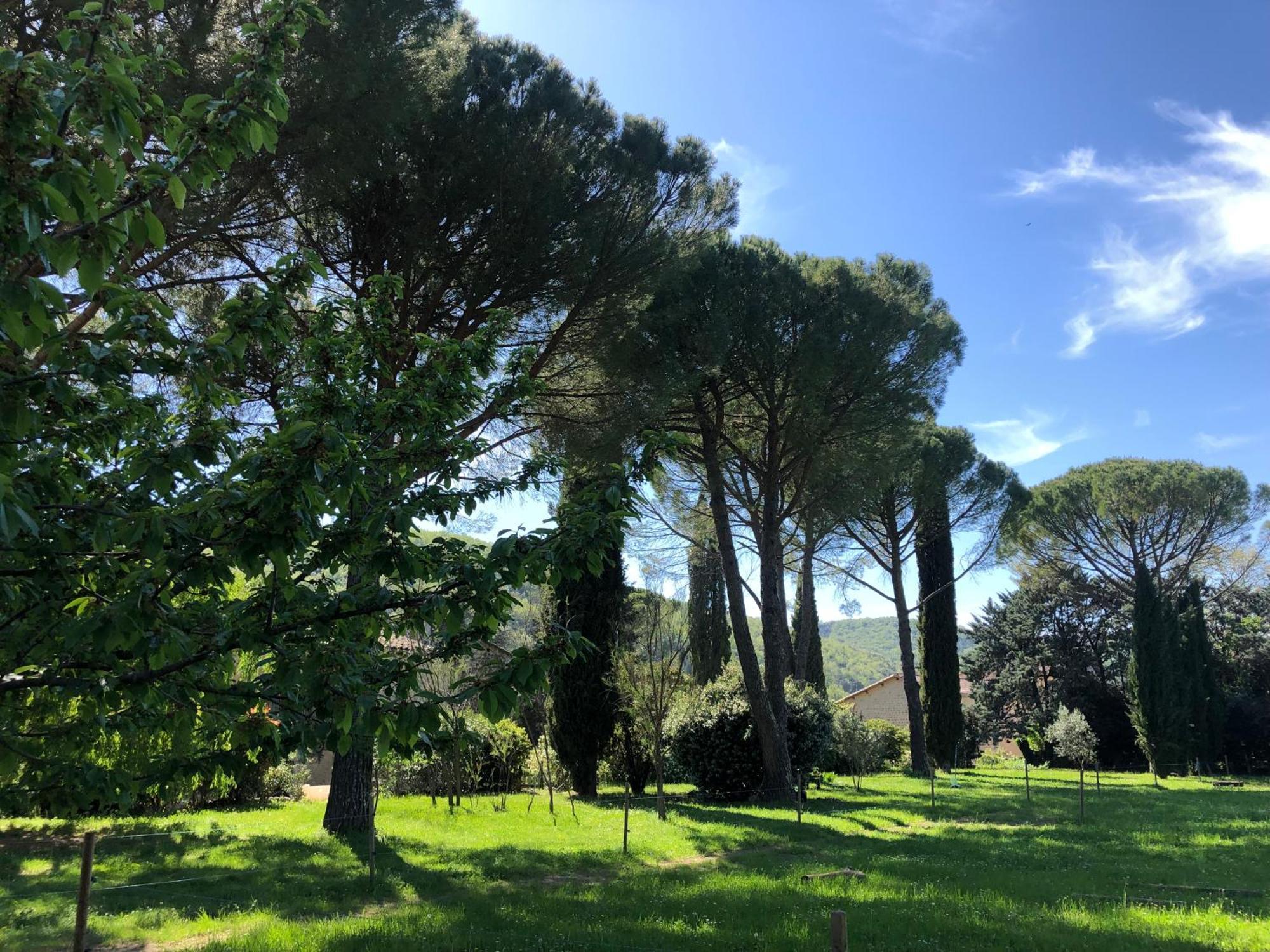 Gite Des Pins Saint-Maurice-d'Ibie Экстерьер фото